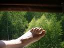 Это моя нога в окне поезда