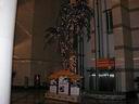 Светящееся дерево и стеклянный лифт в гостинице Sinoway